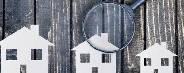 agence immobilière