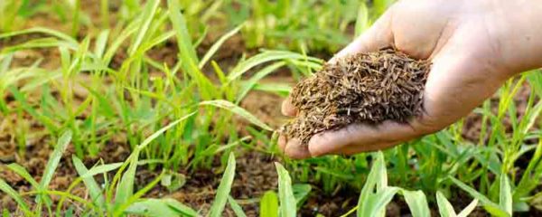 engrais biologiques